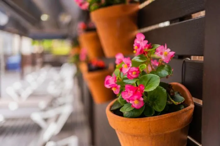 Magnolia Hotel - Adults Only 살루 4*,  스페인